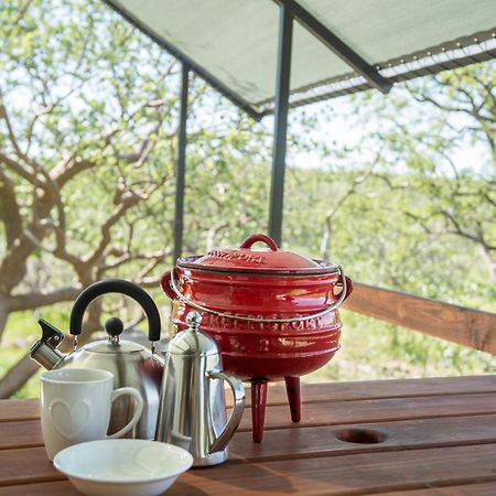 Etosha Safari Camping2Go Окаукуэджо Номер фото
